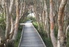 Taylors Beach NSWnative-gardens-3.jpg; ?>