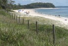 Taylors Beach NSWplants-42.jpg; ?>